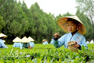 江南电竞app下载苹果版